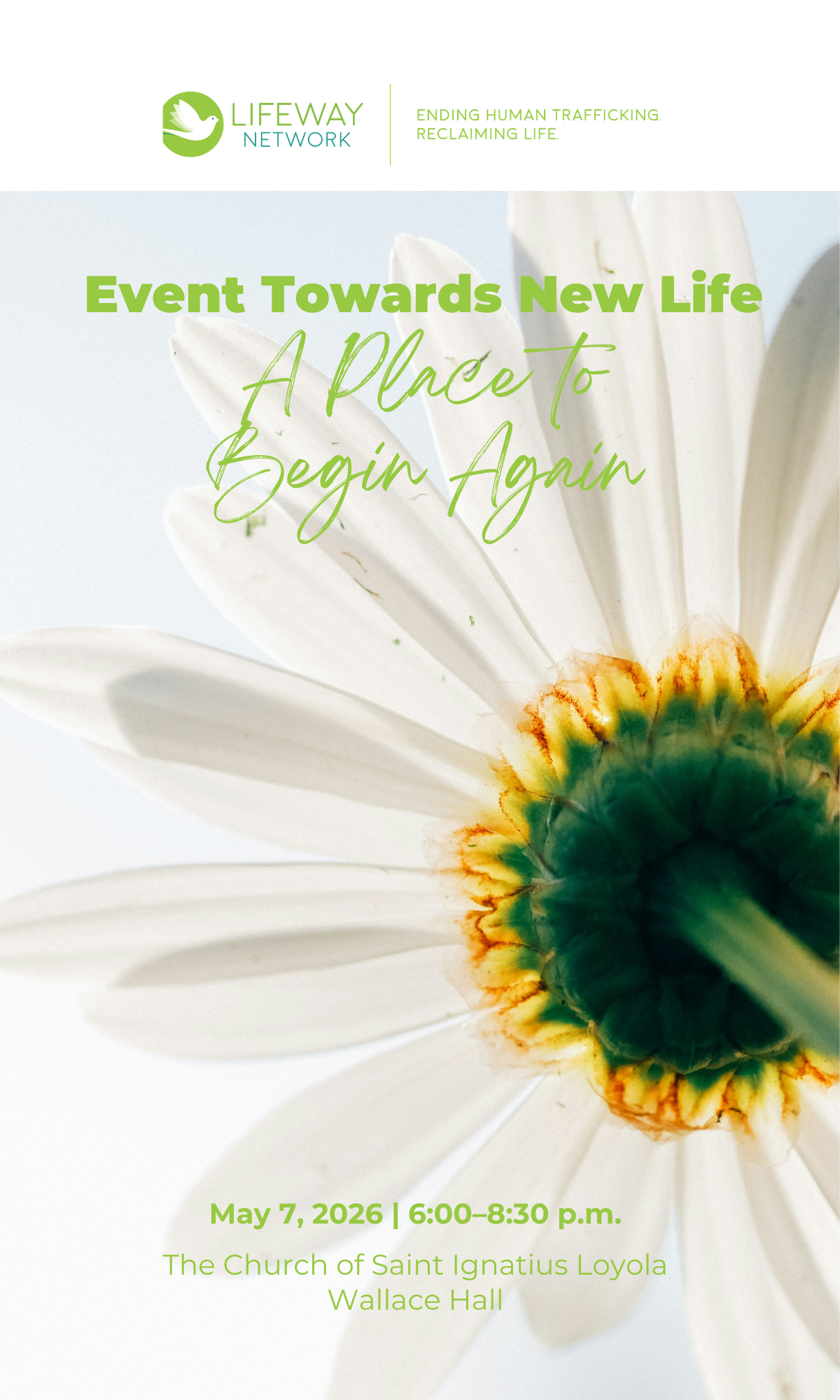 Event poster with a close-up image of a white daisy flower. Text includes the logo of Lifeway Network, a dove icon, and the event details for May 7, 2026, from 6:00 to 8:30 p.m. at Wallace Hall of the Church of Saint Ignatius Loyola.