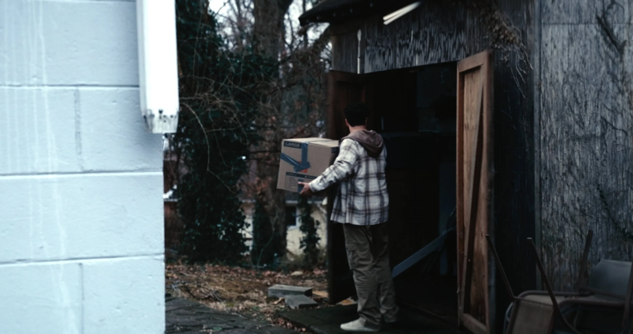 Still 2026-01-28 012200_1.7.1.jpg