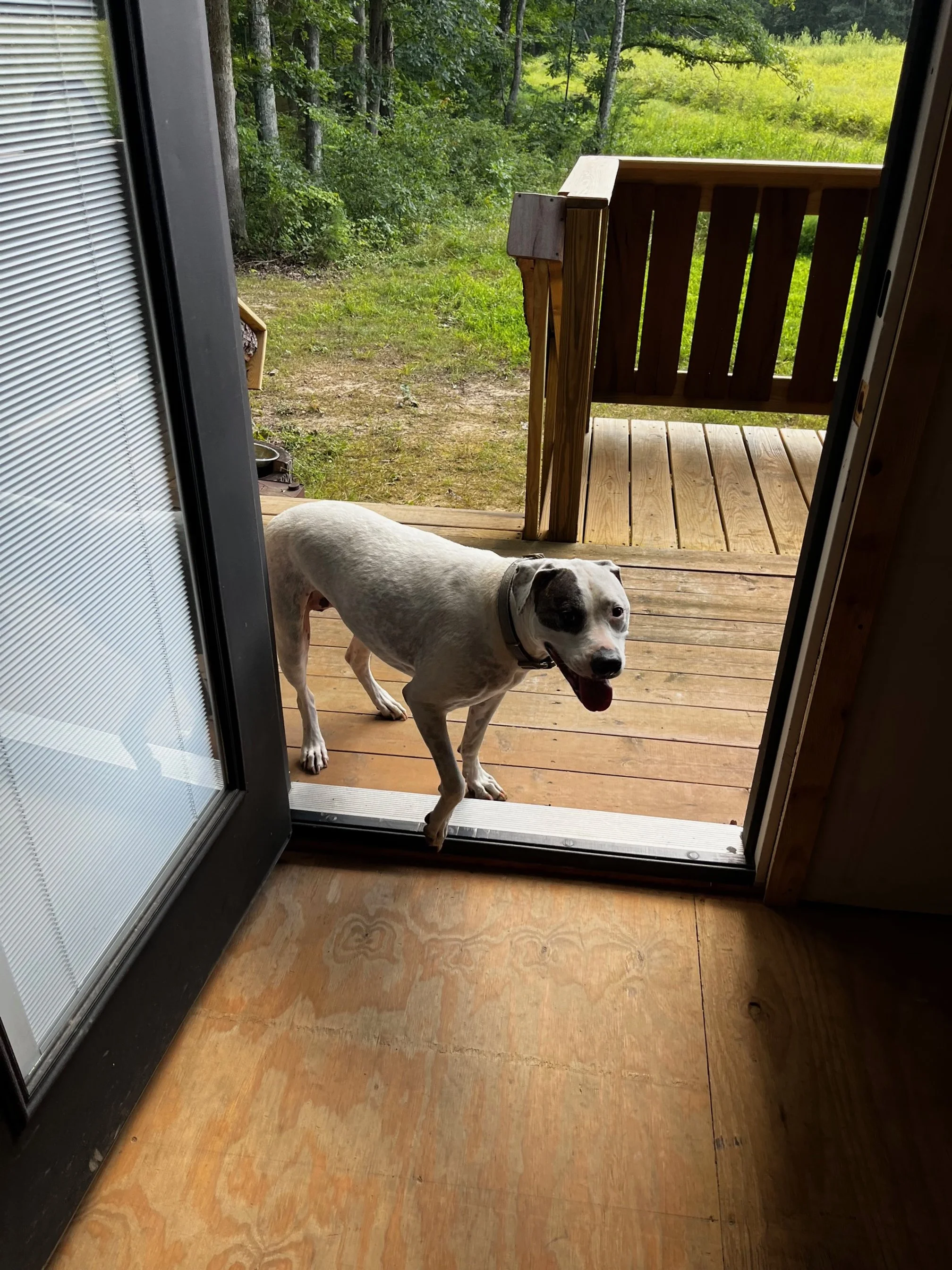 image1.jpeg