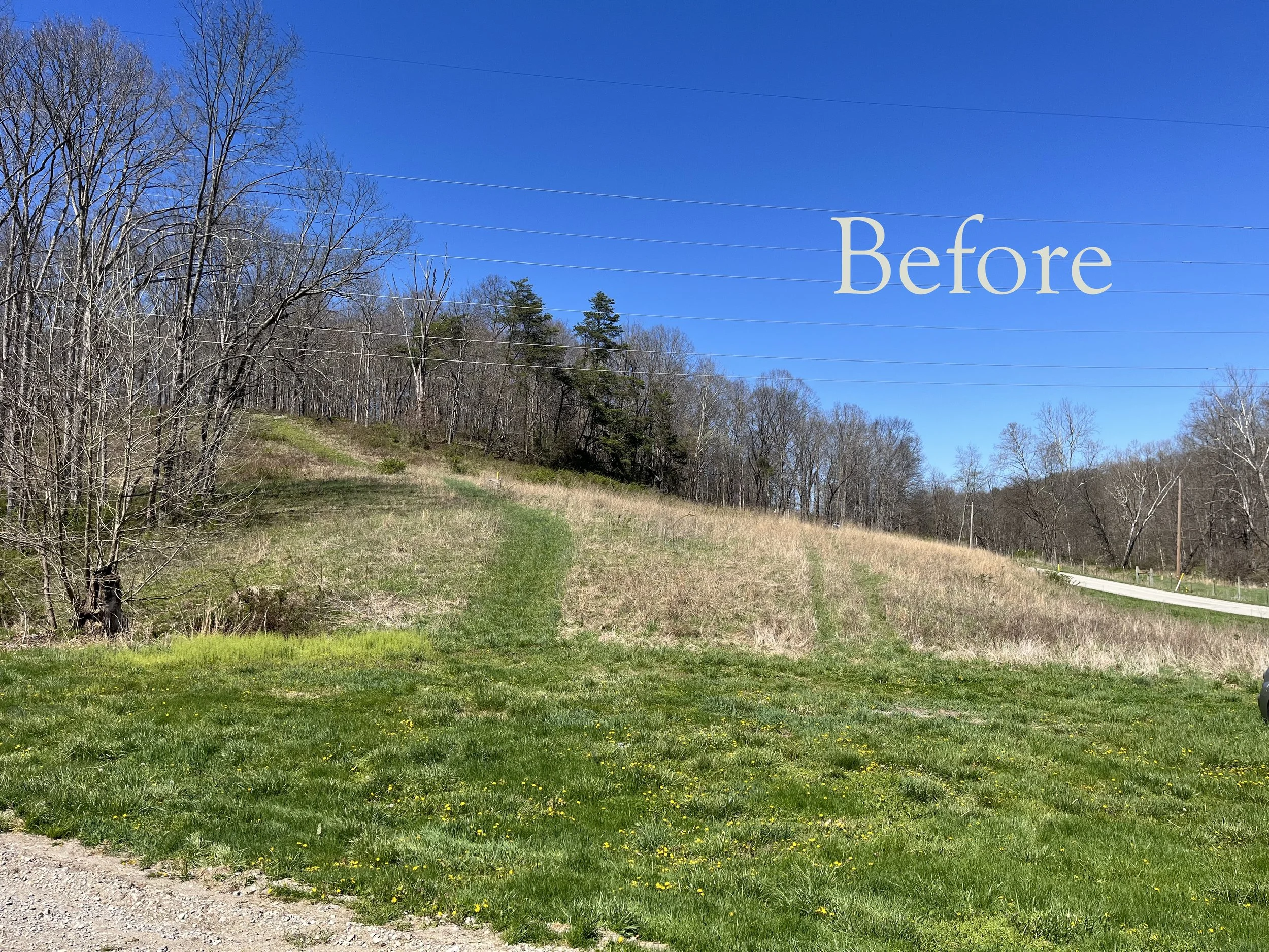 Trailhead Before Photo.JPG