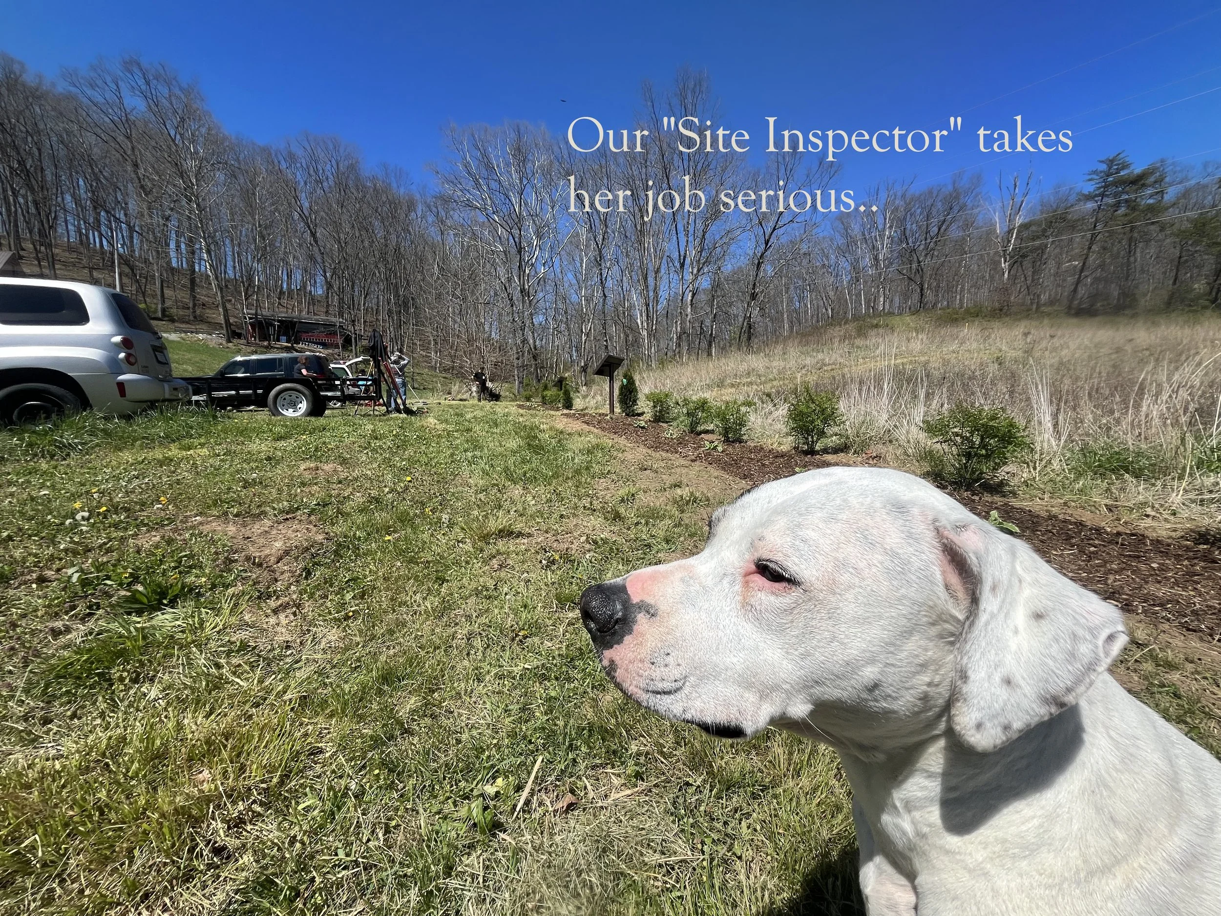 Site Inspector.JPG