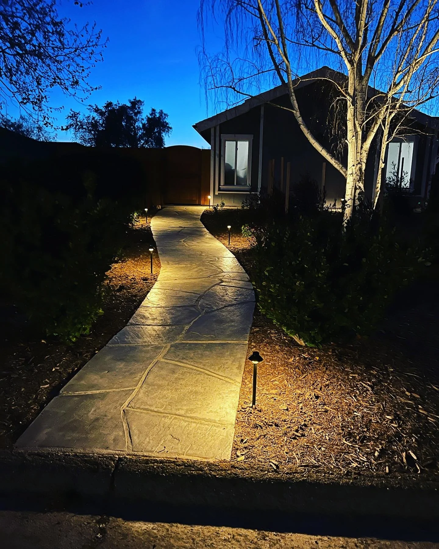 Landscape lighting featuring an illuminated pathway leading to house entrance at dusk, with bare trees and landscaped garden.