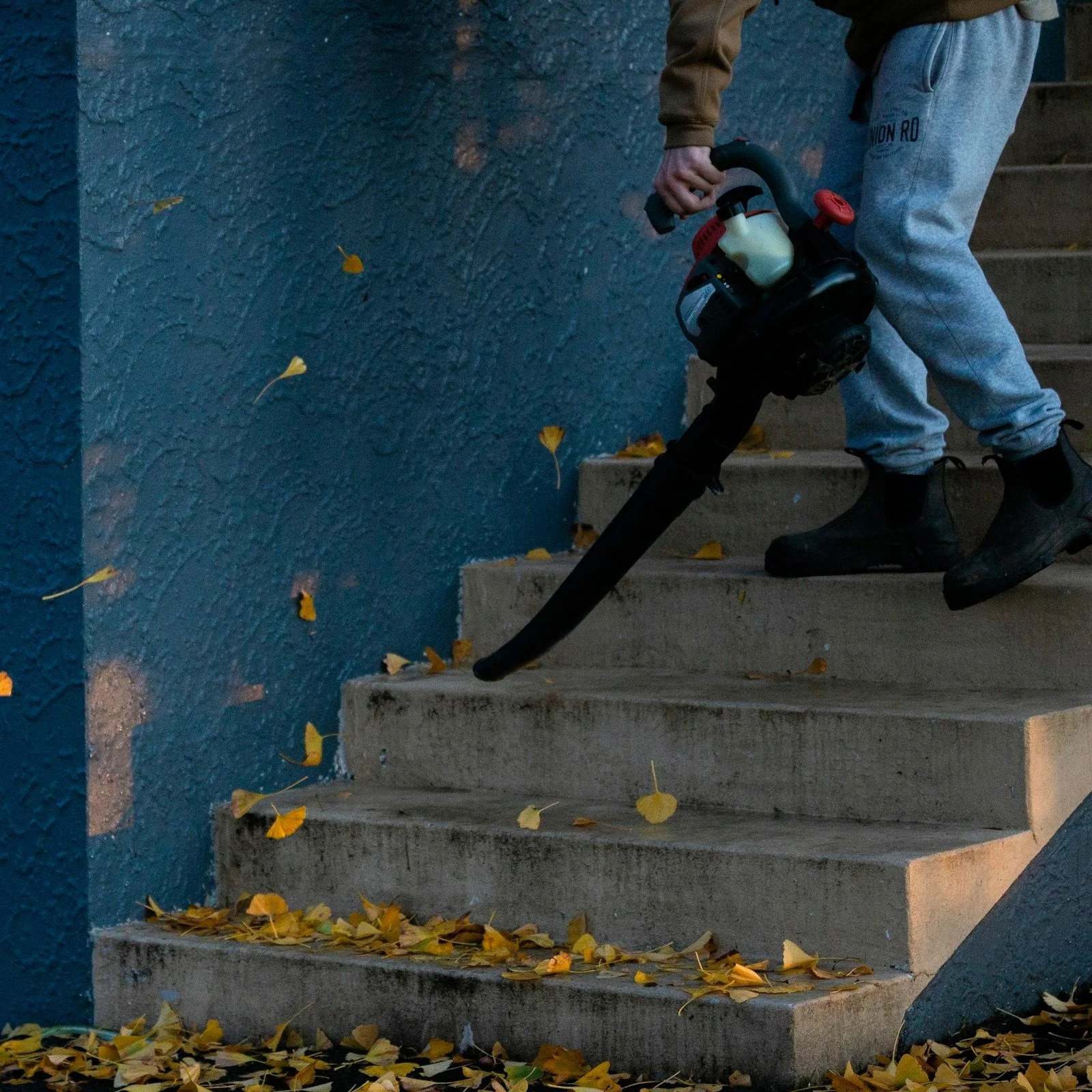 Person using a leaf blower on outdoor concrete stairs covered with fallen yellow leaves, with a blue wall beside the stairs.