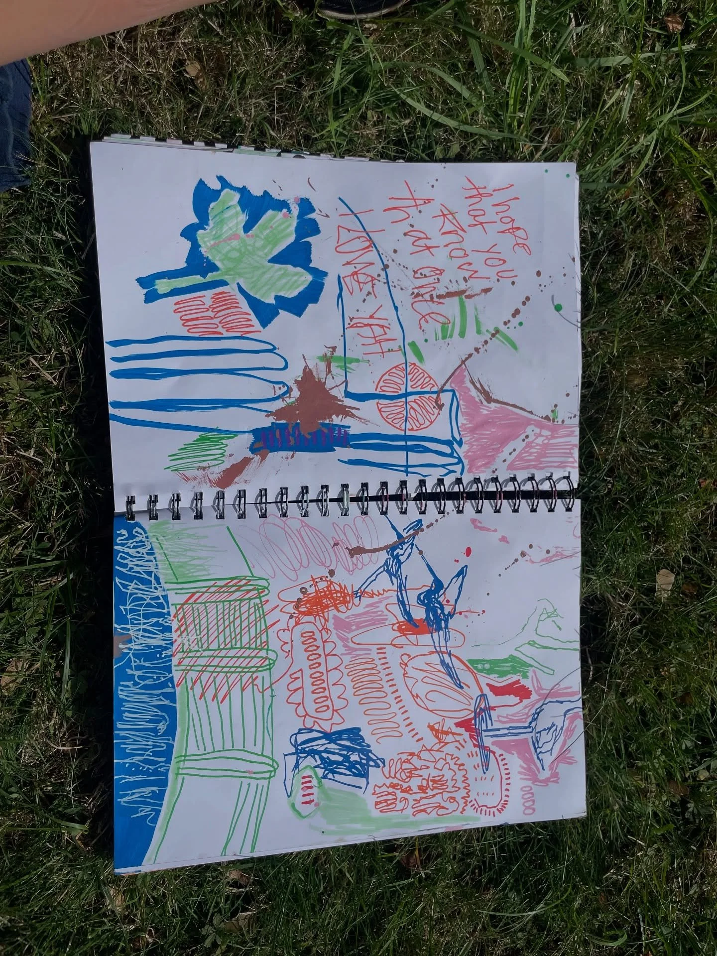 Fun in the sun