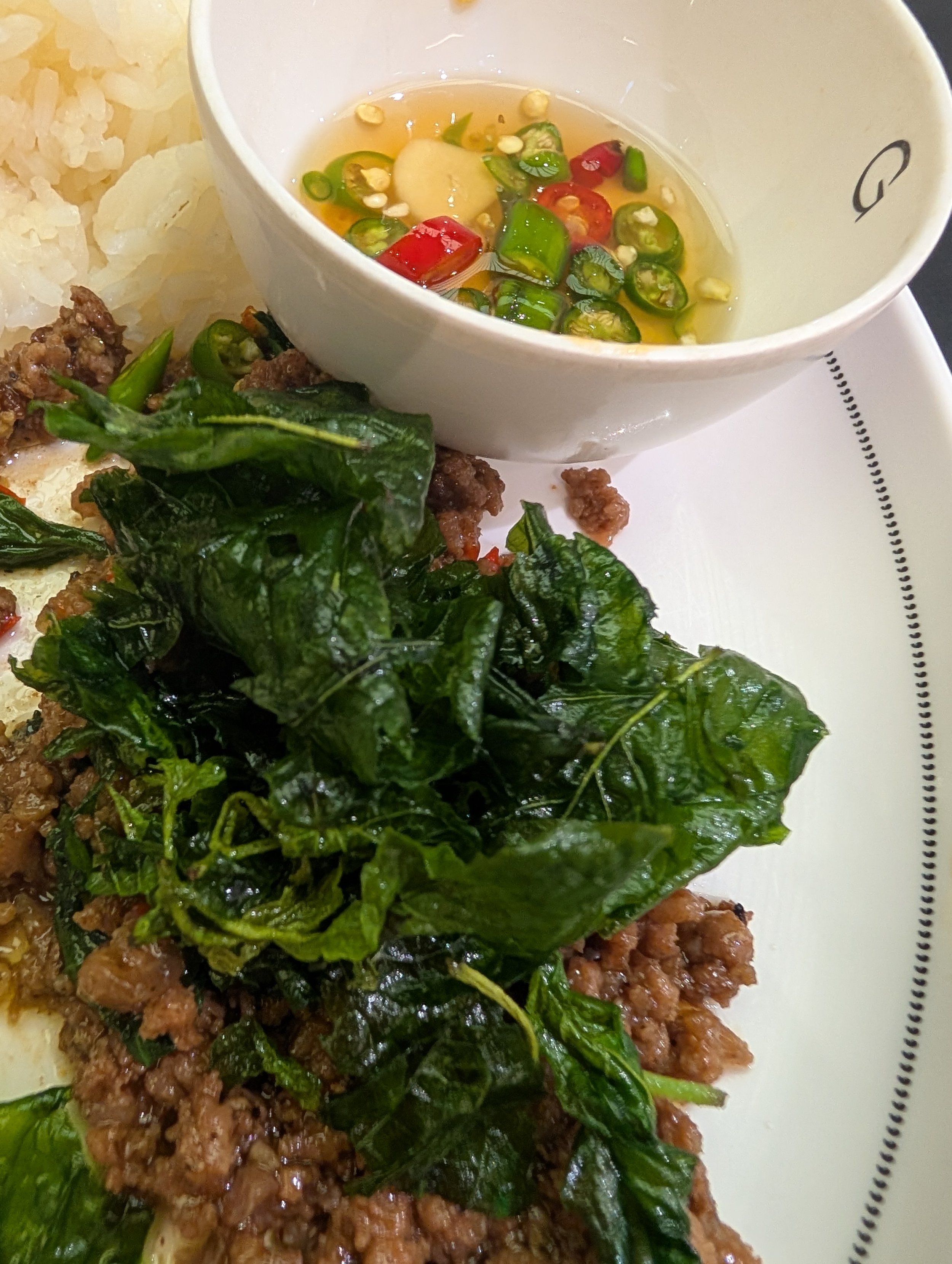 Diet/Nutrition Consultation