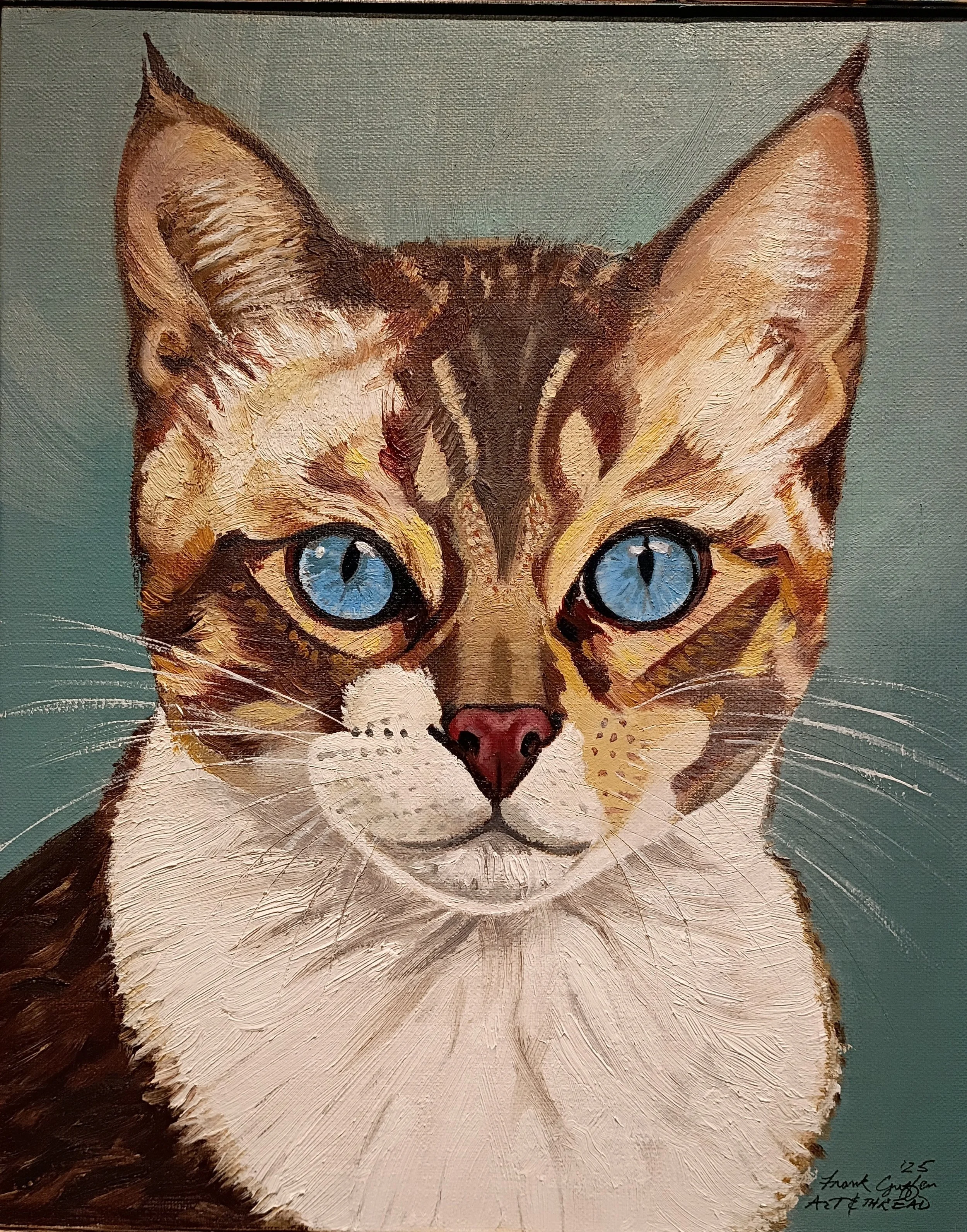 8x10 Blue Eyes oil portrait