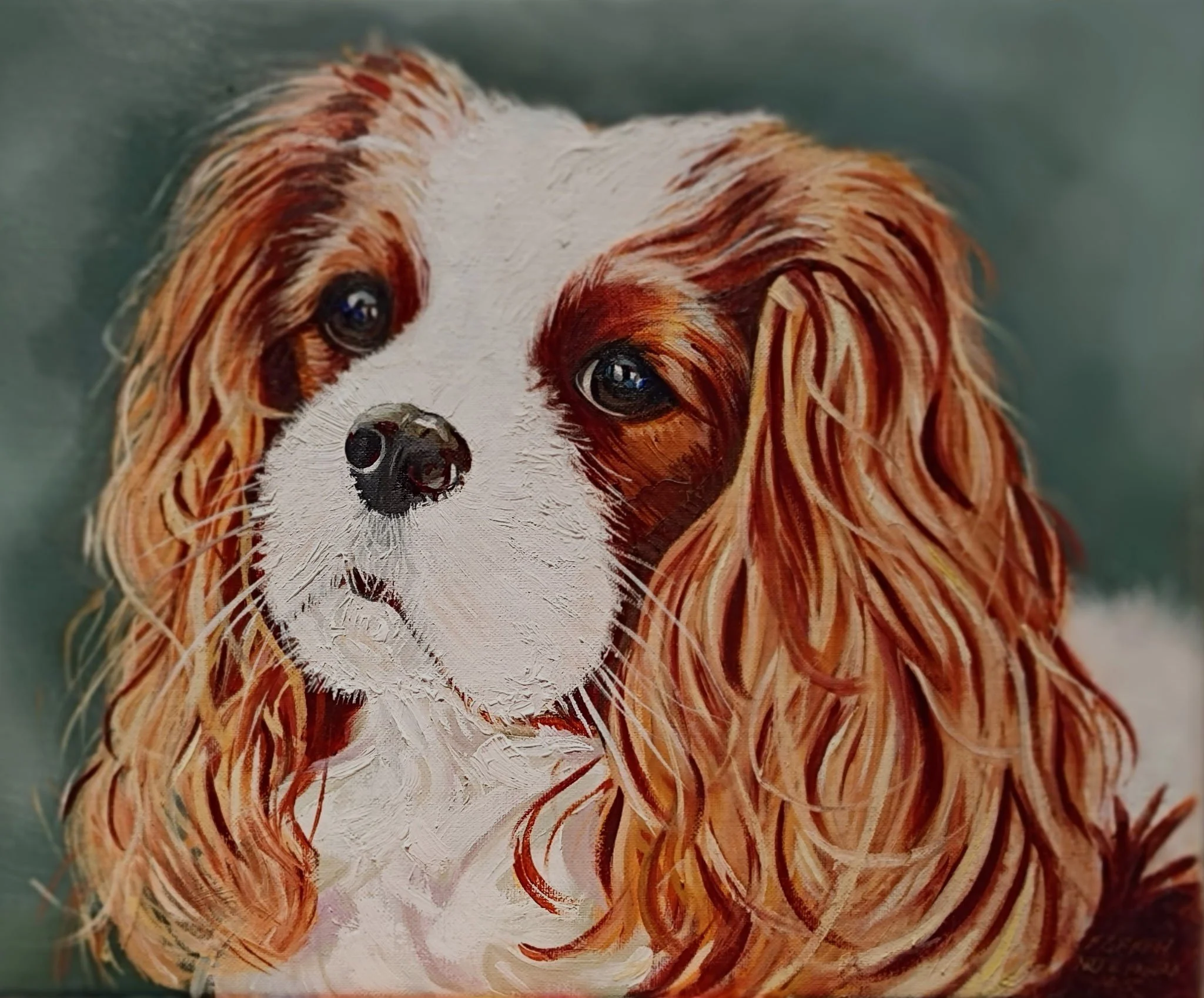 8x10 Cavalier King Charles oil portrait