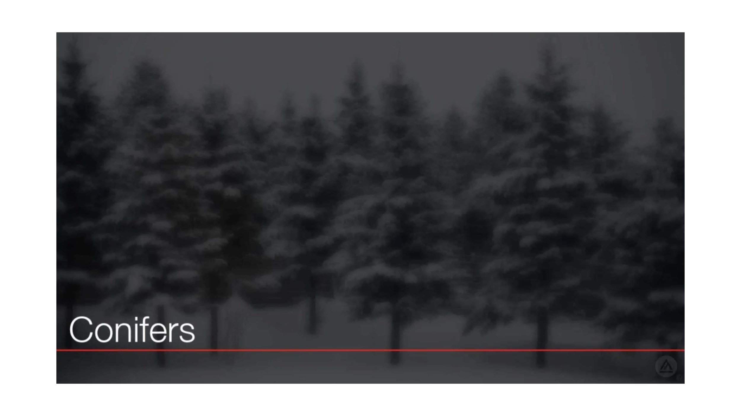 Screenshot 2026-01-22 at 10.08.40 PM.jpg