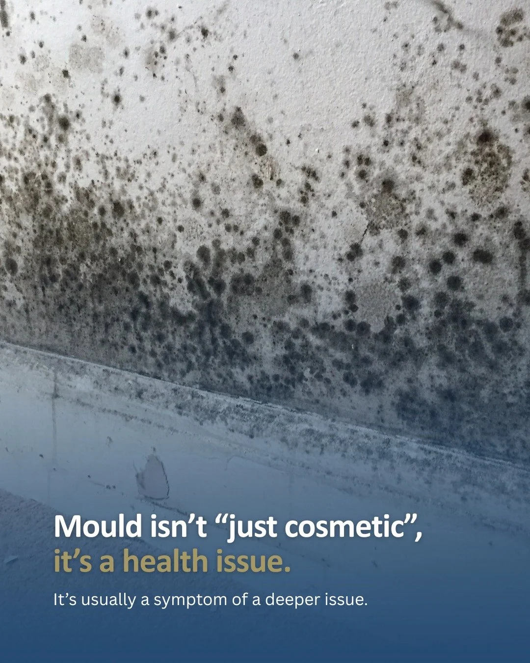 Mould isn&rsquo;t just an aesthetic problem, it&rsquo;s often a sign of something deeper.

Recent news coverage and the introduction of Awaab&rsquo;s Law have highlighted how serious damp and mould can be, particularly in homes where the underlying i