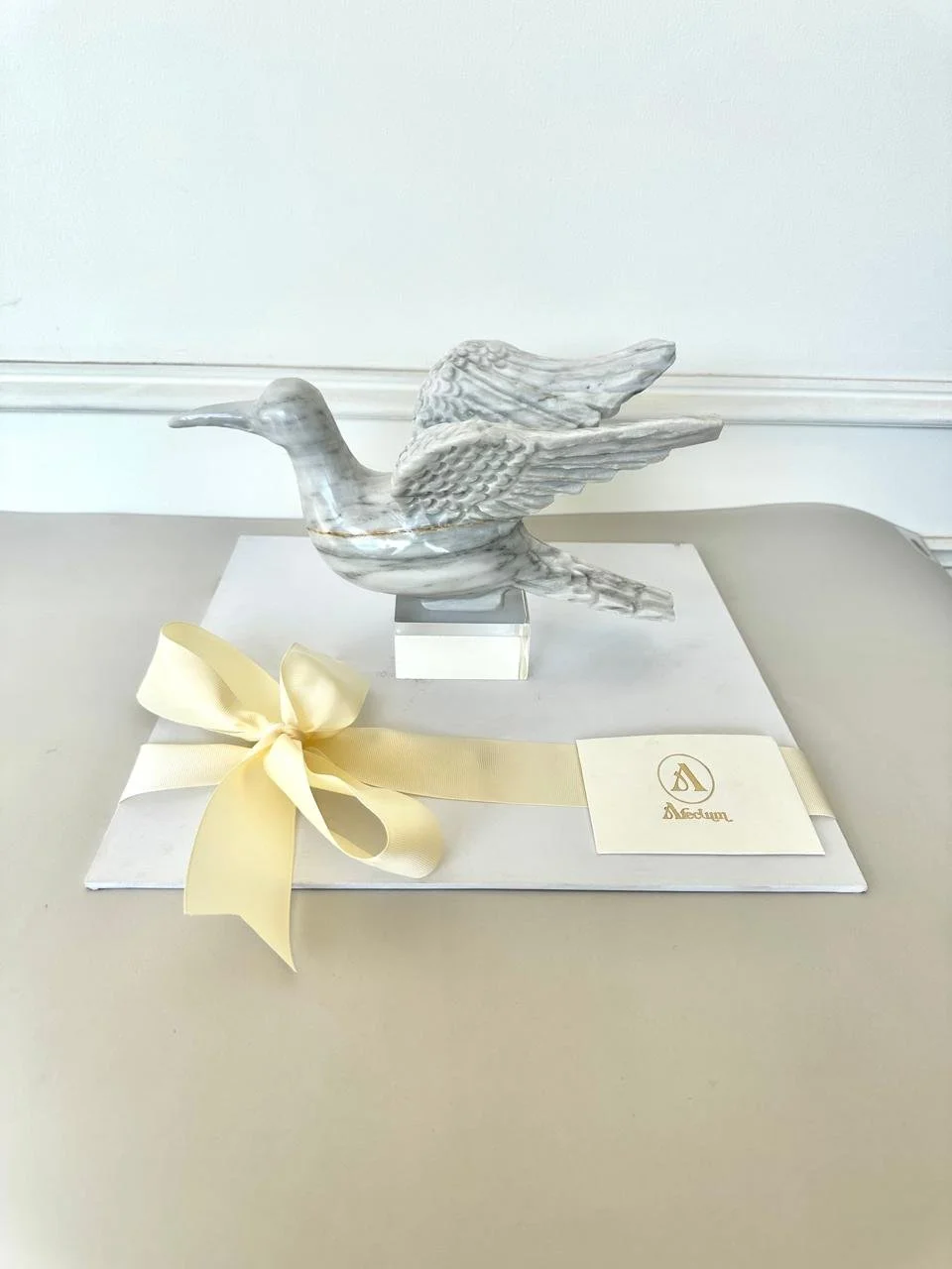 WhatsApp Image 2026-02-27 at 12.49.35 PM.jpeg