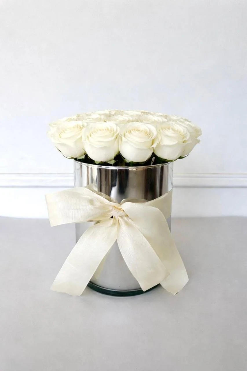 WhatsApp Image 2026-02-27 at 2.23.18 PM.jpeg