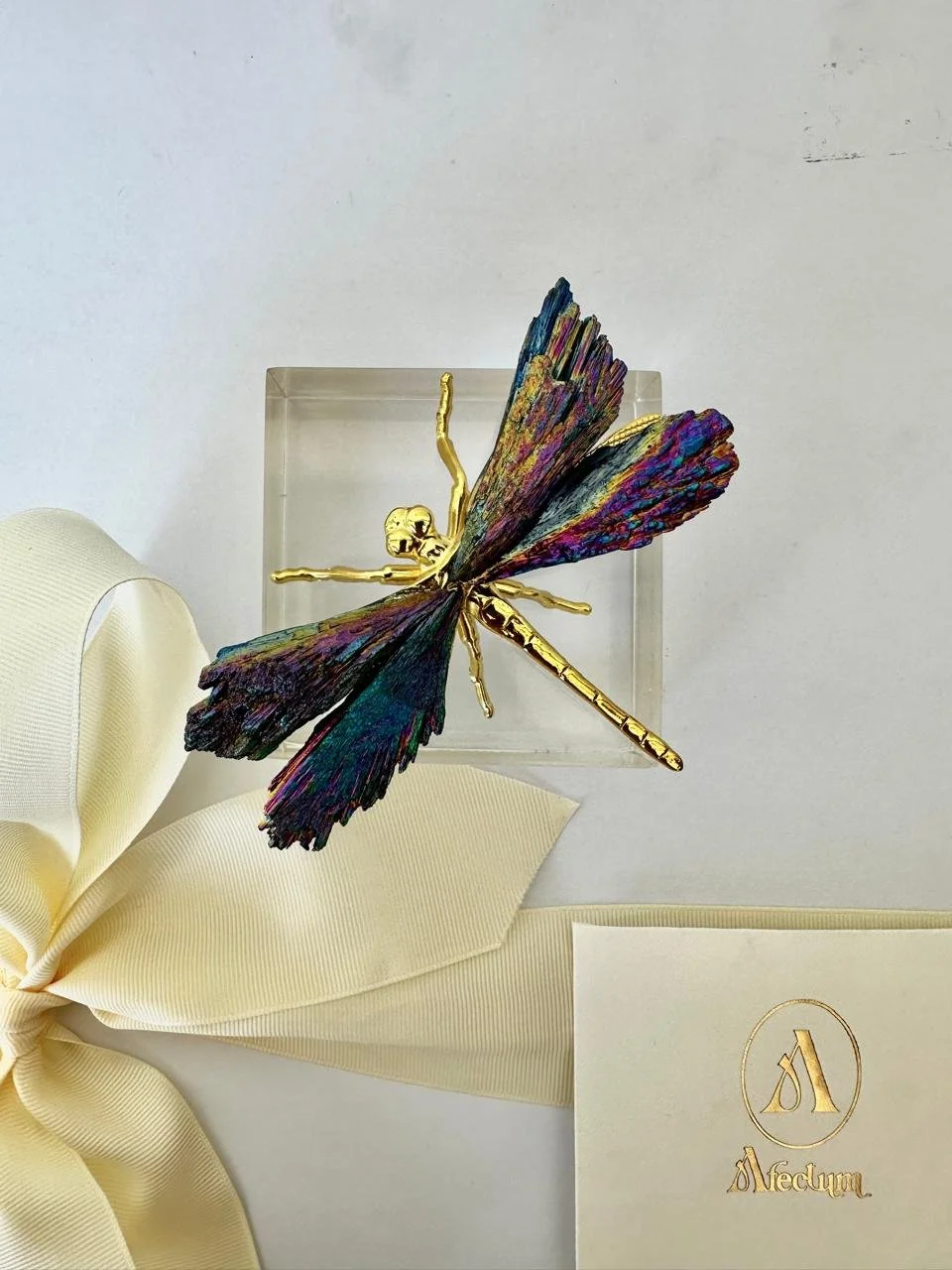 WhatsApp Image 2026-02-27 at 1.29.58 PM.jpeg