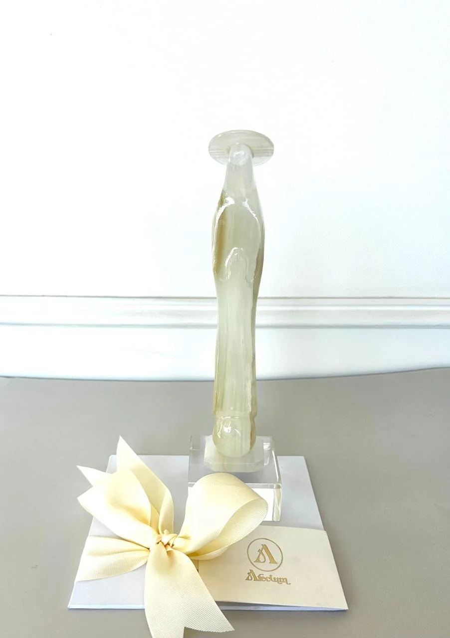 WhatsApp Image 2026-02-27 at 2.20.30 PM.jpeg