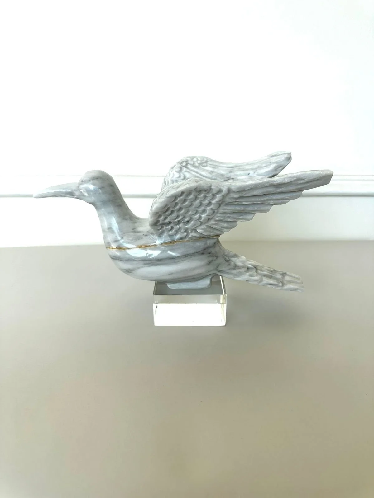 WhatsApp Image 2026-02-17 at 12.30.54 PM.jpeg