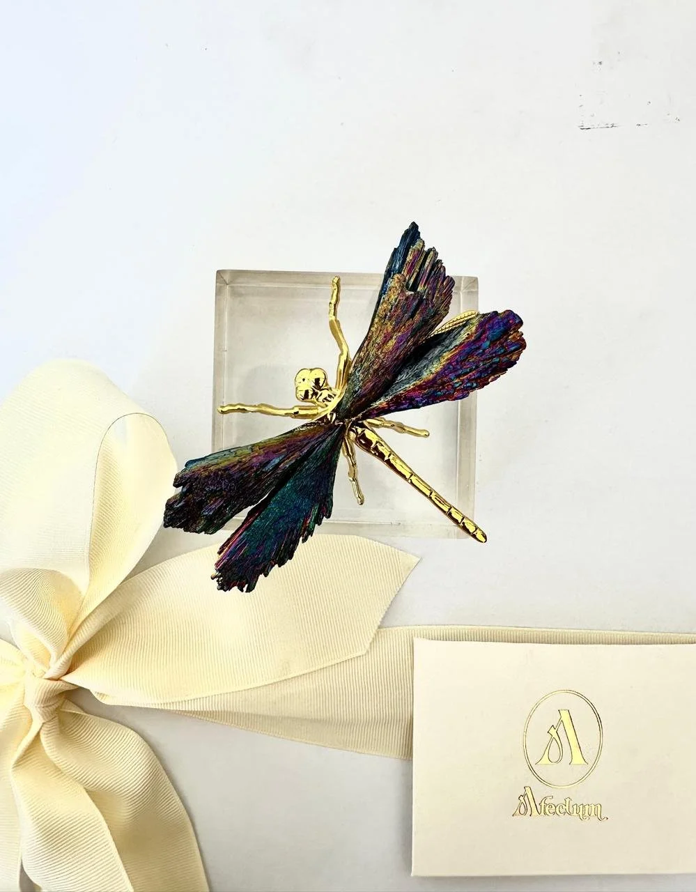 WhatsApp Image 2026-02-27 at 1.49.10 PM.jpeg