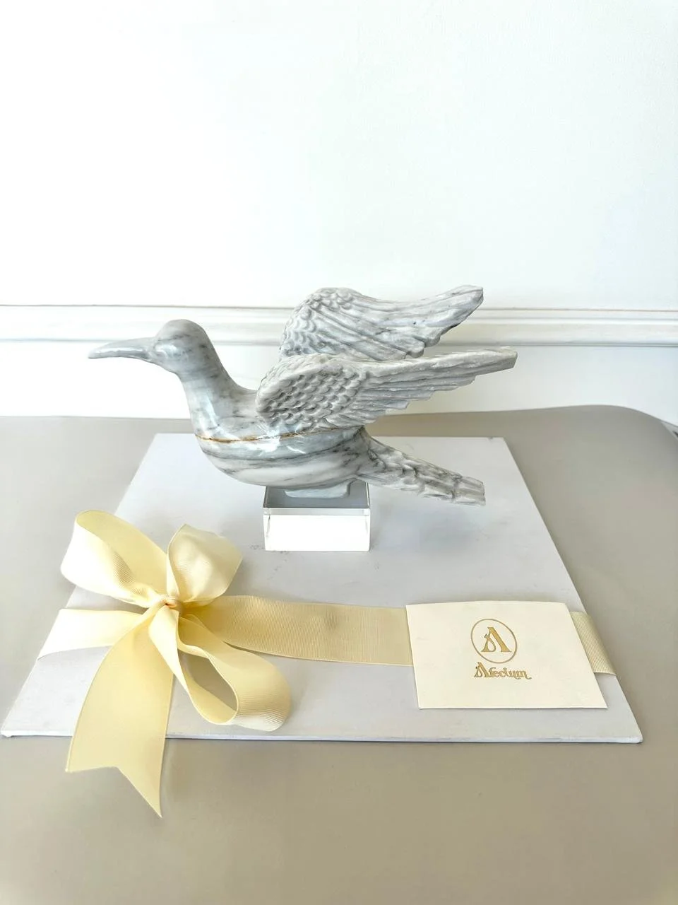 WhatsApp Image 2026-02-27 at 12.50.00 PM.jpeg