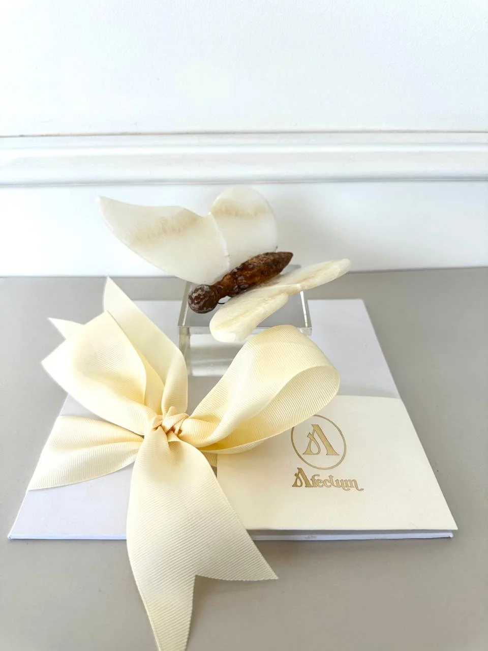 WhatsApp Image 2026-02-27 at 12.34.33 PM.jpeg