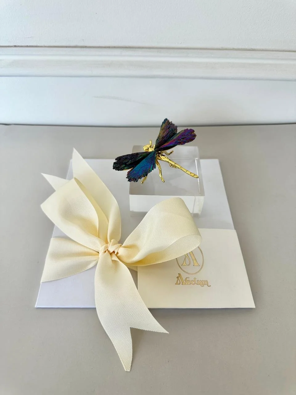 Libélula tornasol sobre acrílico