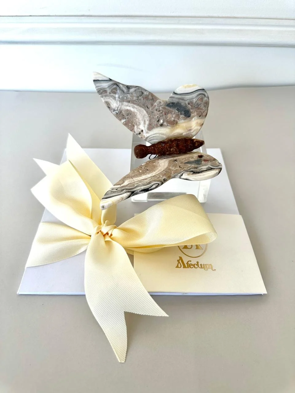 WhatsApp Image 2026-02-27 at 12.35.18 PM.jpeg