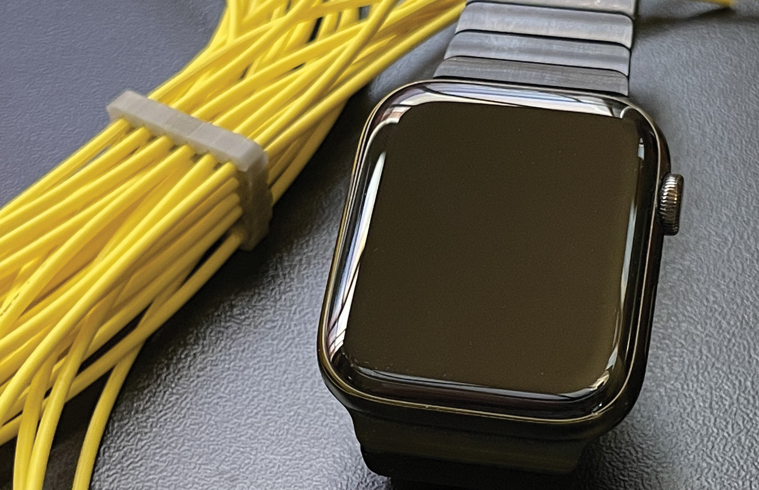 Apple watch and fibers.png