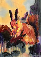 Squirrel.jpg