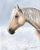 Horse.jpg
