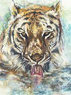 EyeOfTheTiger.jpg