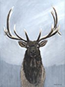 Elk.jpg