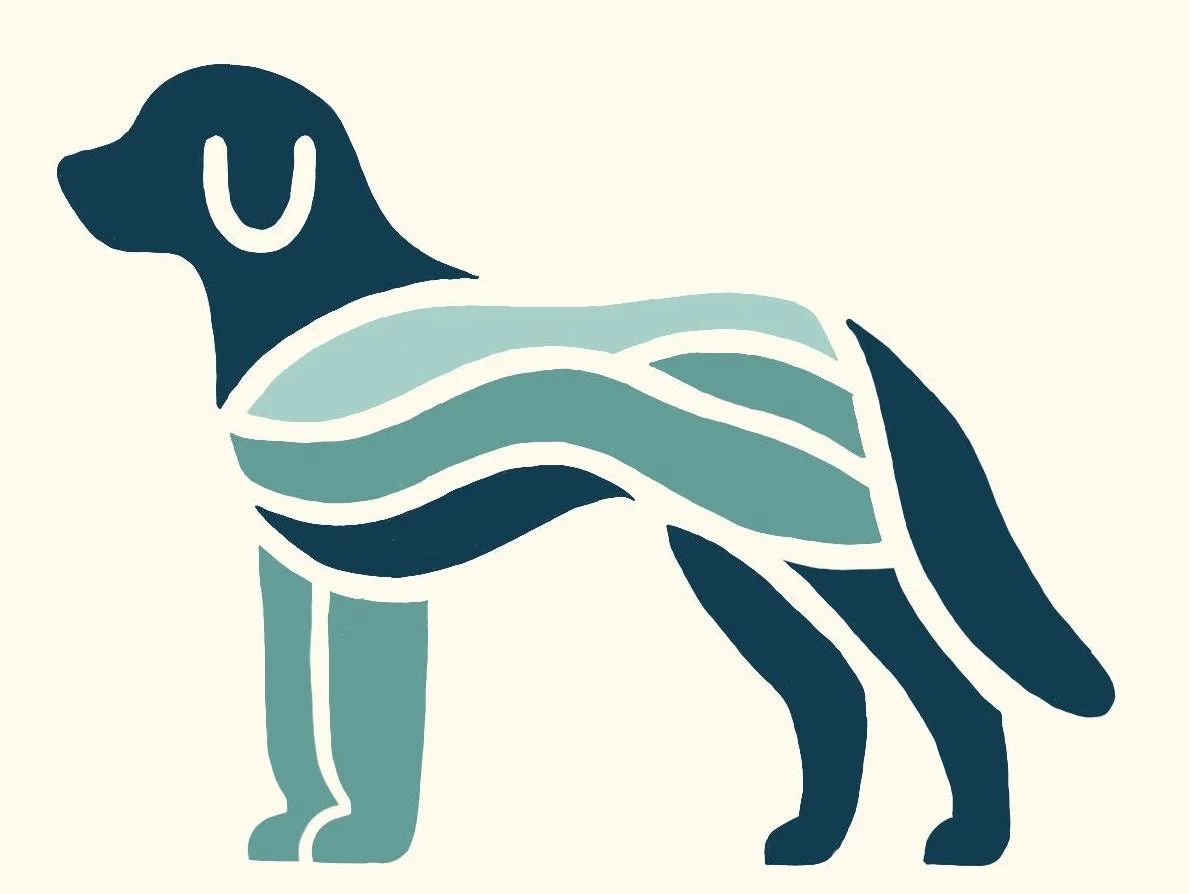 Midcoast Canine Physical Therapy