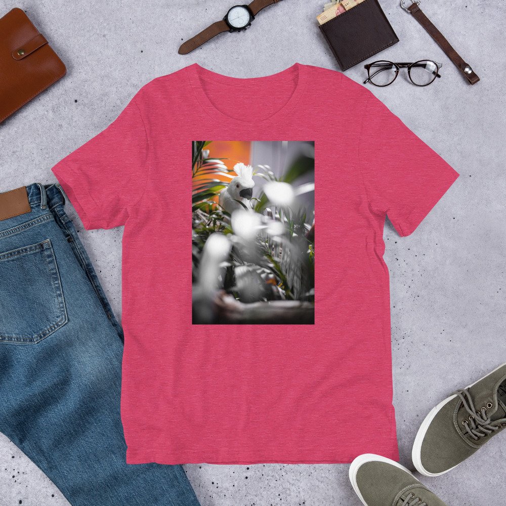 unisex-staple-t-shirt-heather-raspberry-front-680e4157b153a.jpg