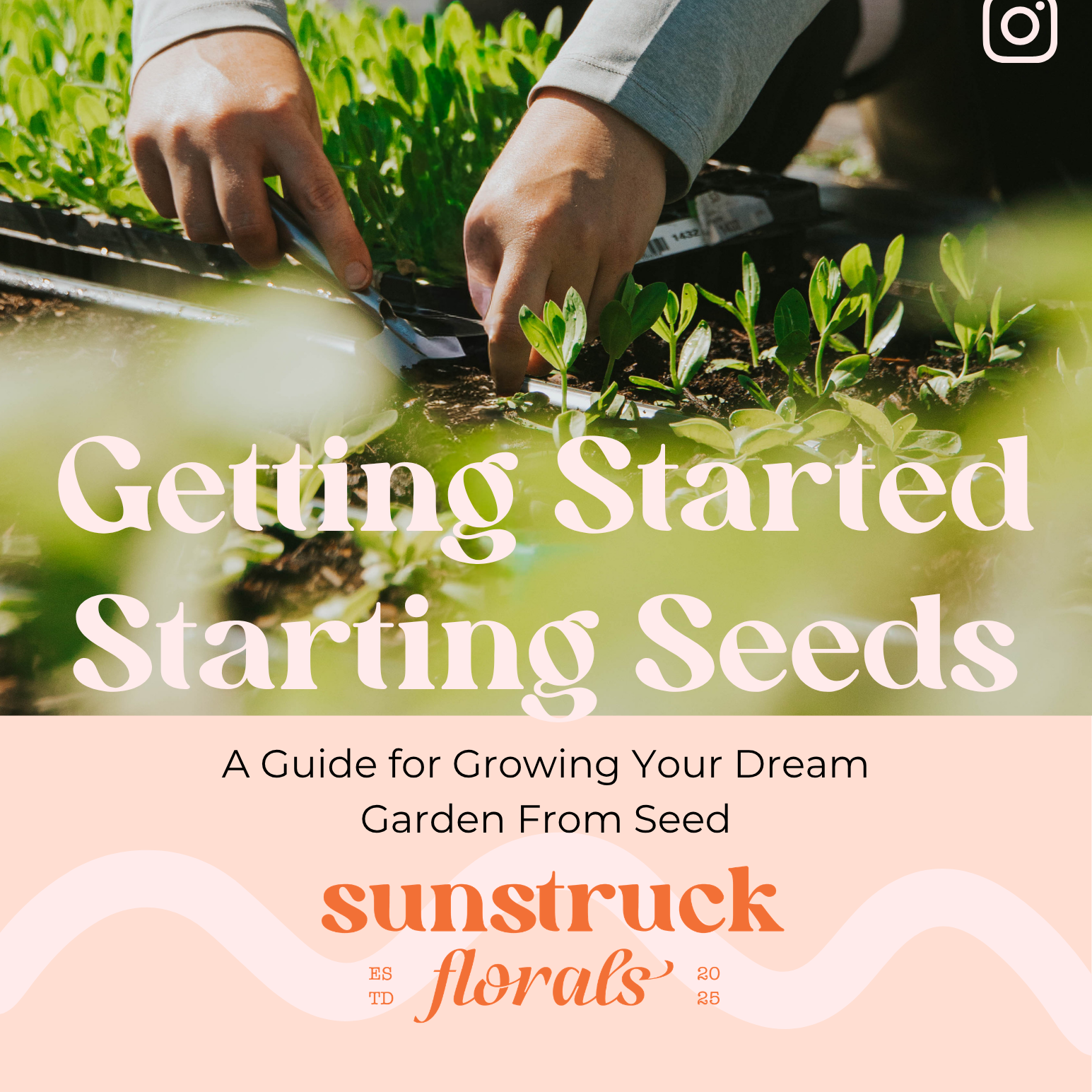 Getting+Started+Starting+Seeds.png