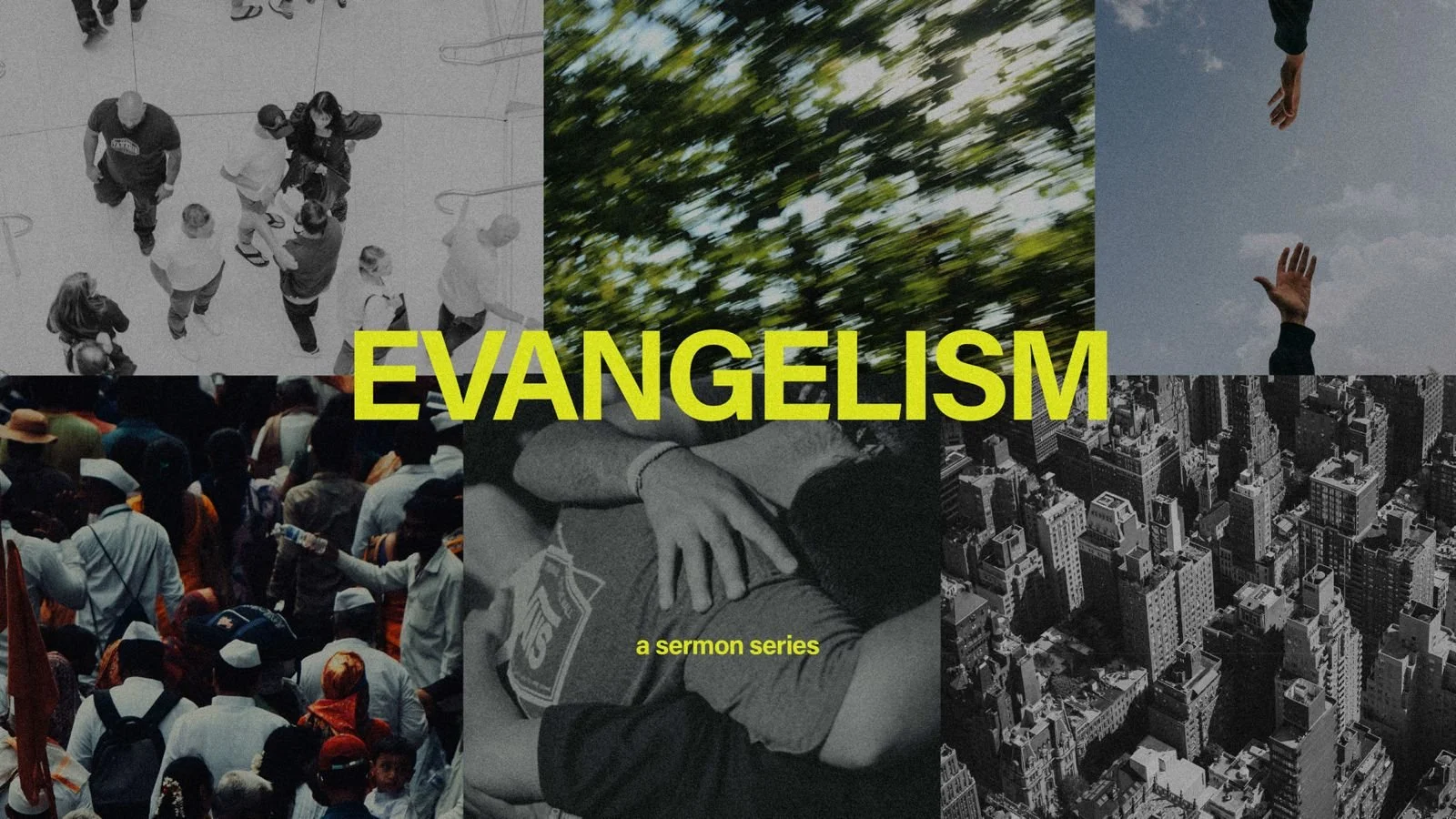 WhatsApp Image 2025-08-30 at 12.40.49 PM.jpeg