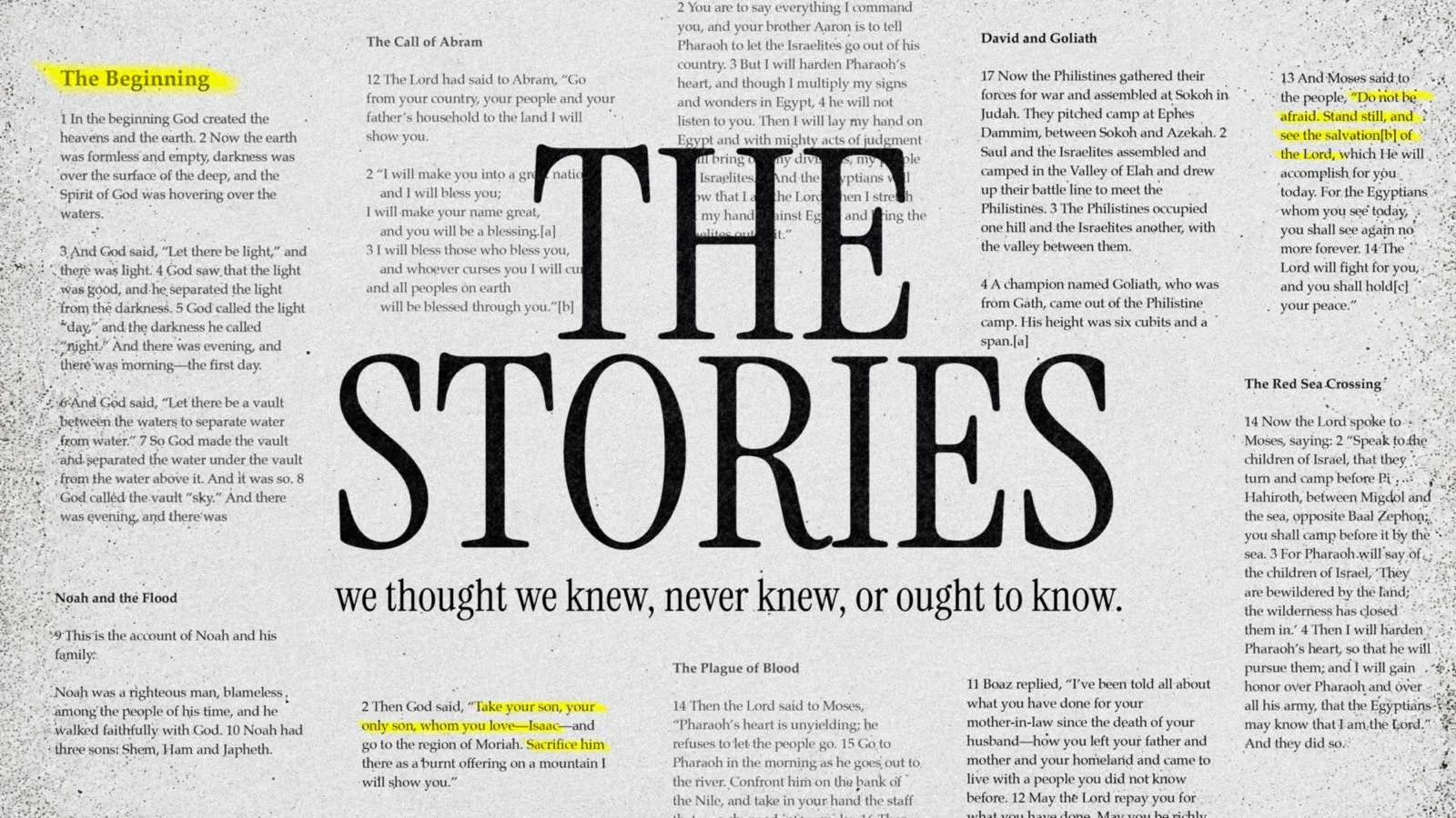 The Stories.jpg