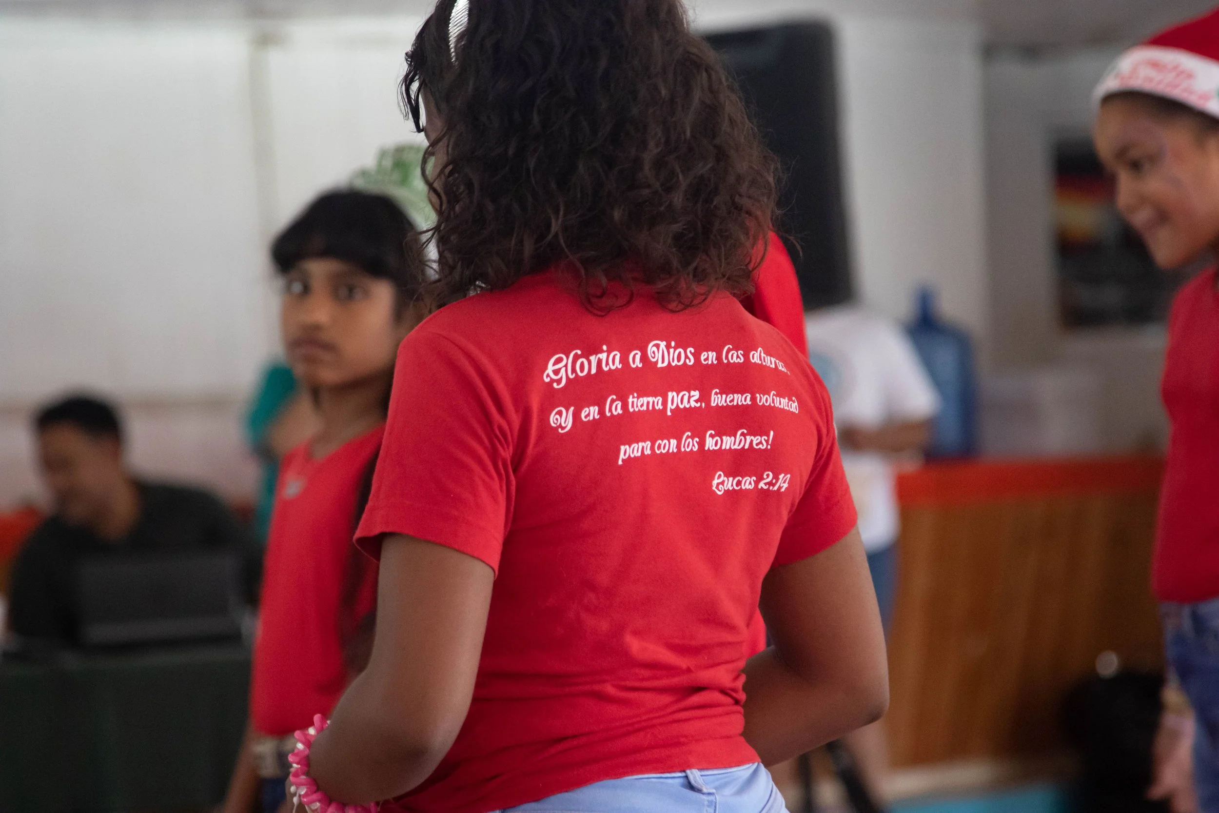 fiesta-162.jpg