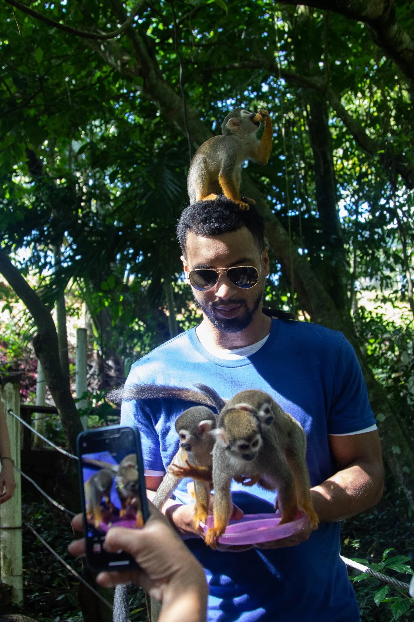 Monkey_Jungle_55.jpg