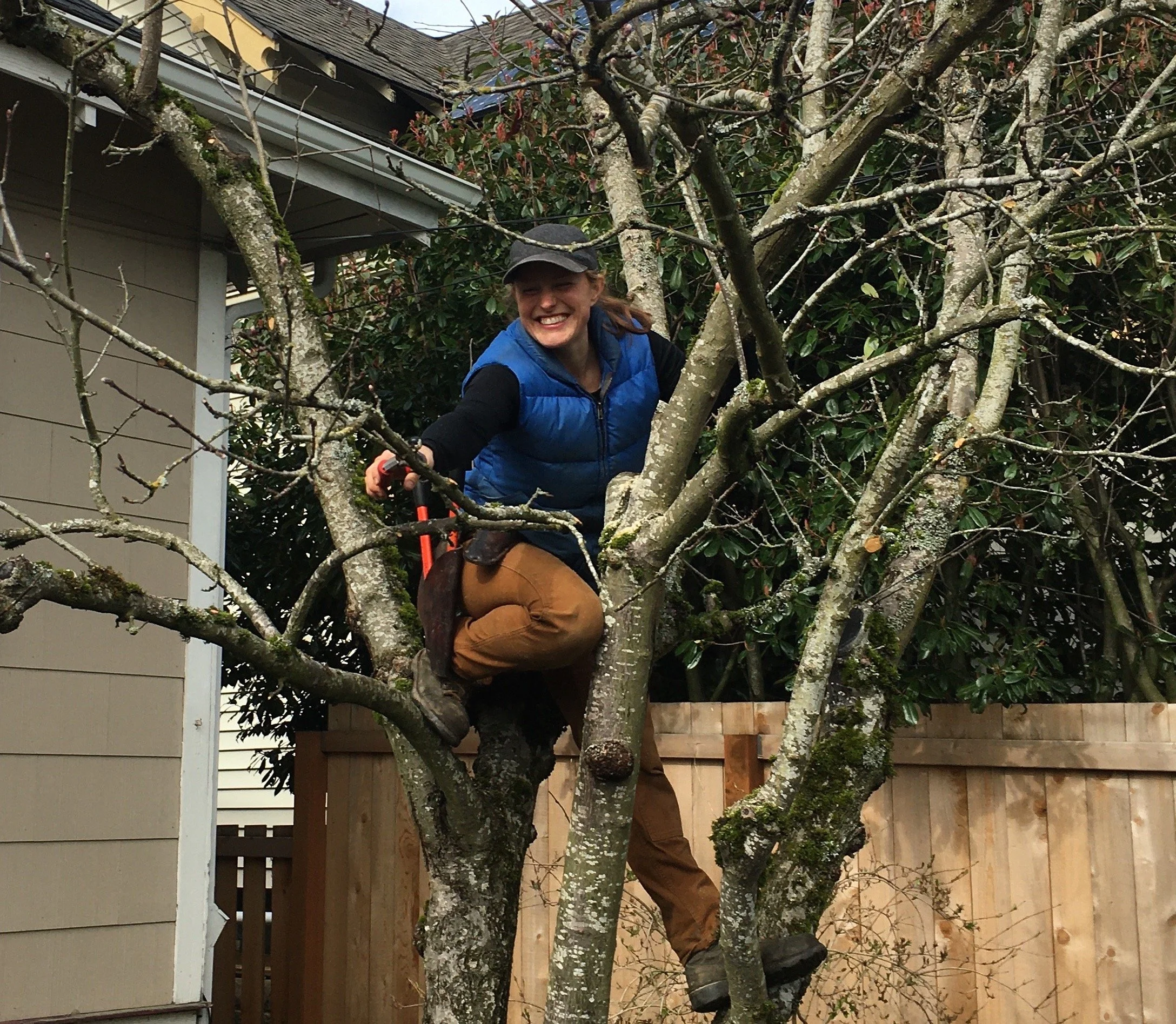 Fruit Tree Pruning Workshop