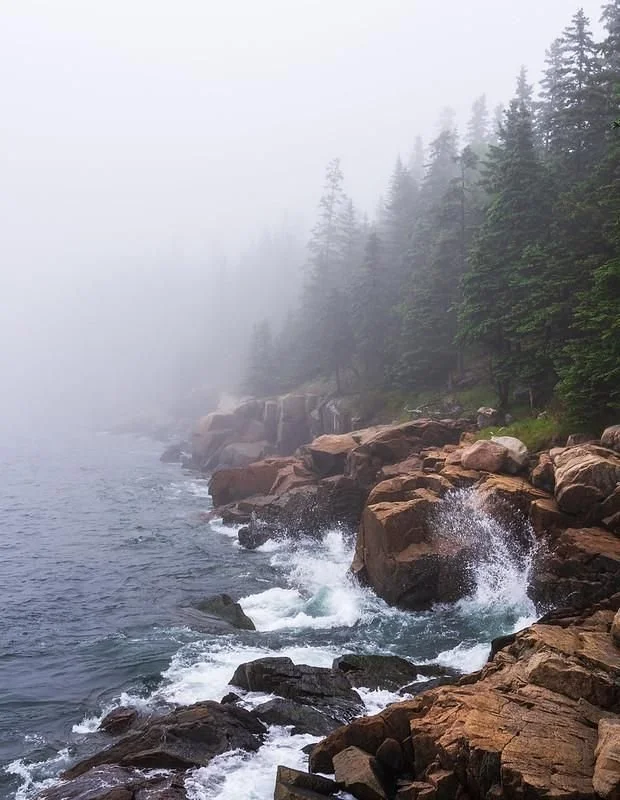 A foggy Maine coastline, Acadia National Park_.jpeg