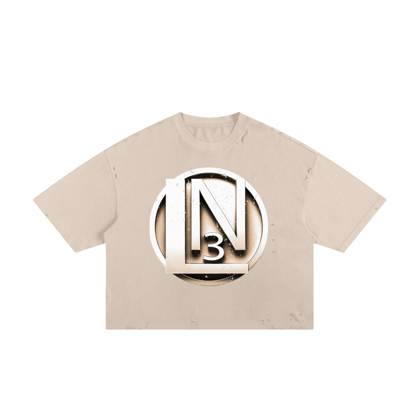 squarespace-upload-temp-2025-02-04-5e35223b-1694-4c07-8d6b-ed794b0205535212681046619015561.png