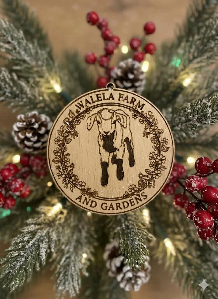 Coco Christmas Ornament