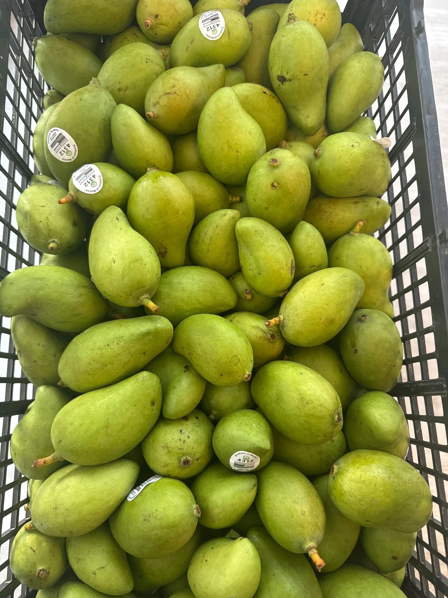 Mango Verde