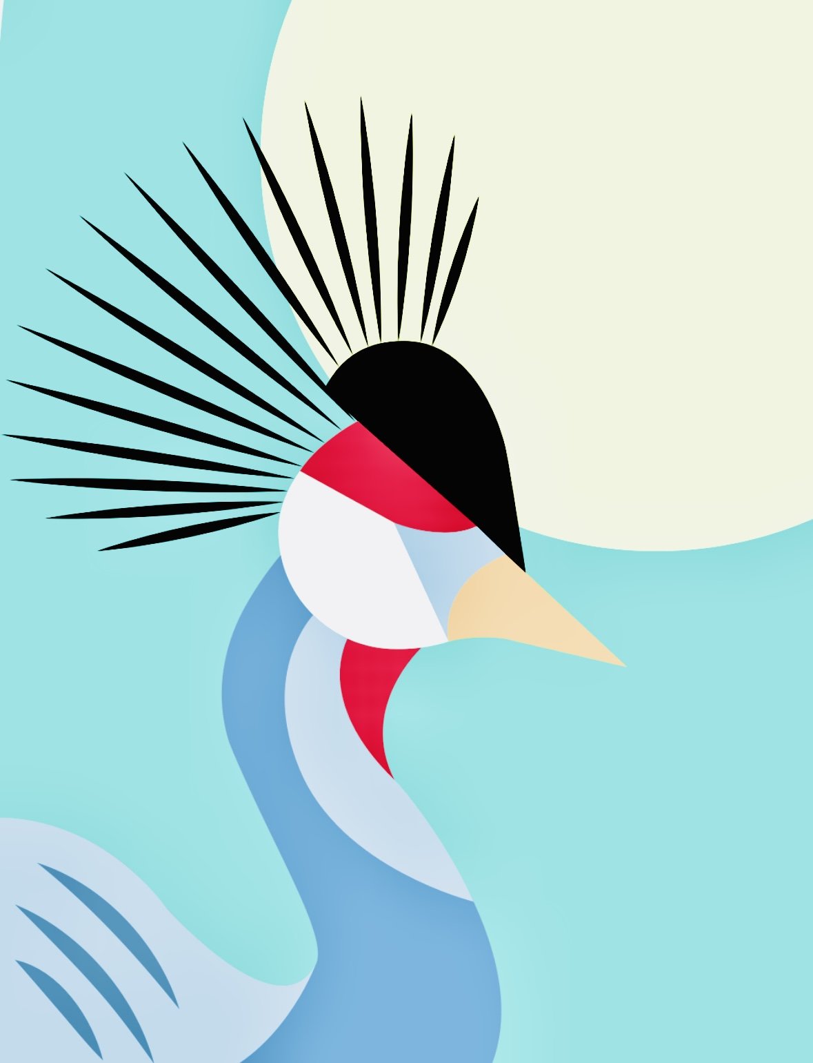 Graphic Design