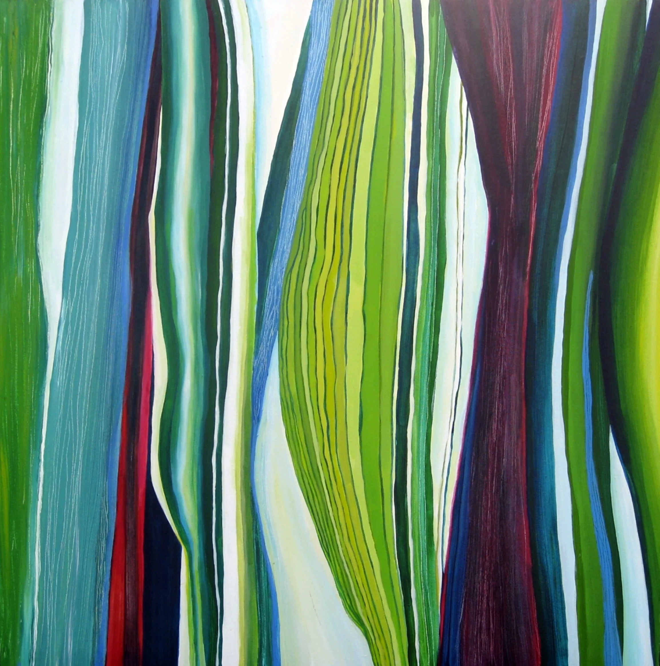 Phormium      36" x 36"      unavailable