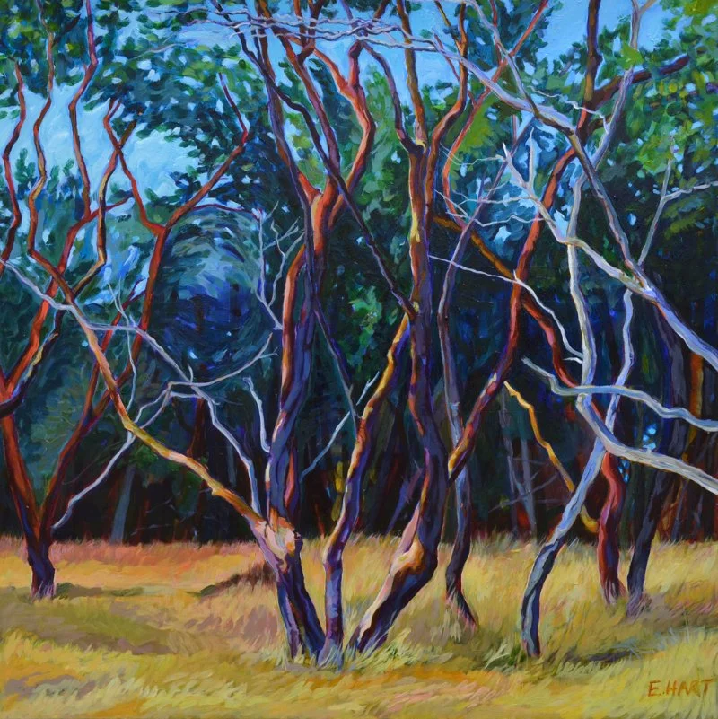 Roots and Wings        "36 x 36"        sold