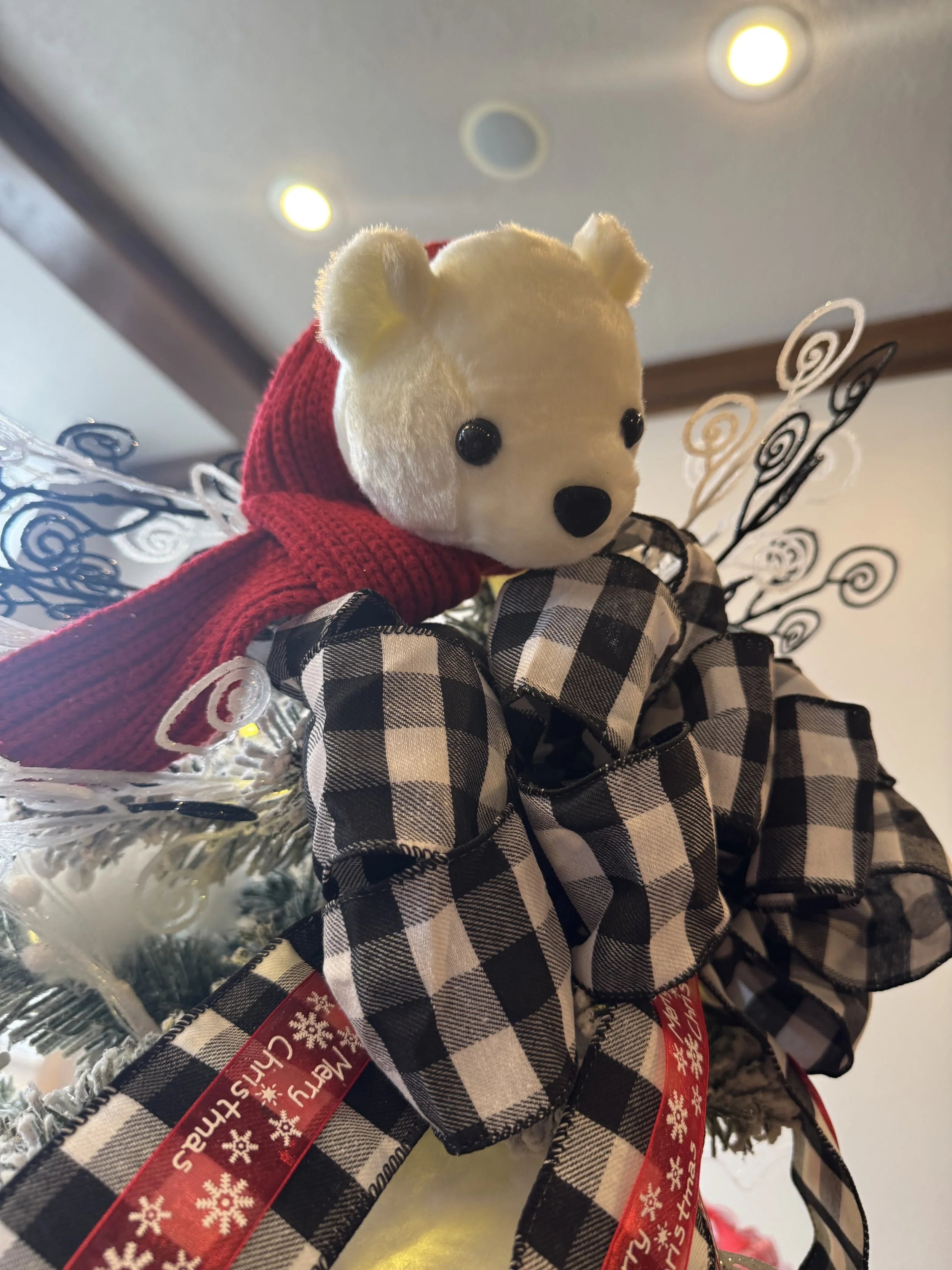 IMG_0008.jpeg