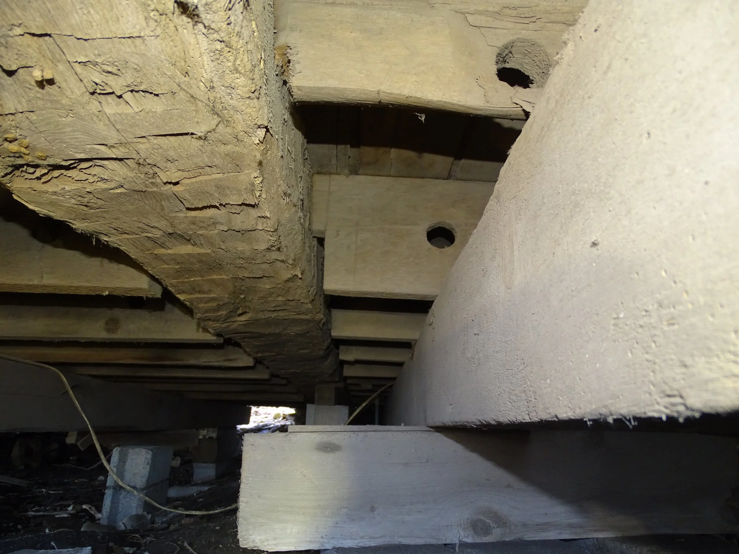 Whitney - Main Framing.JPG