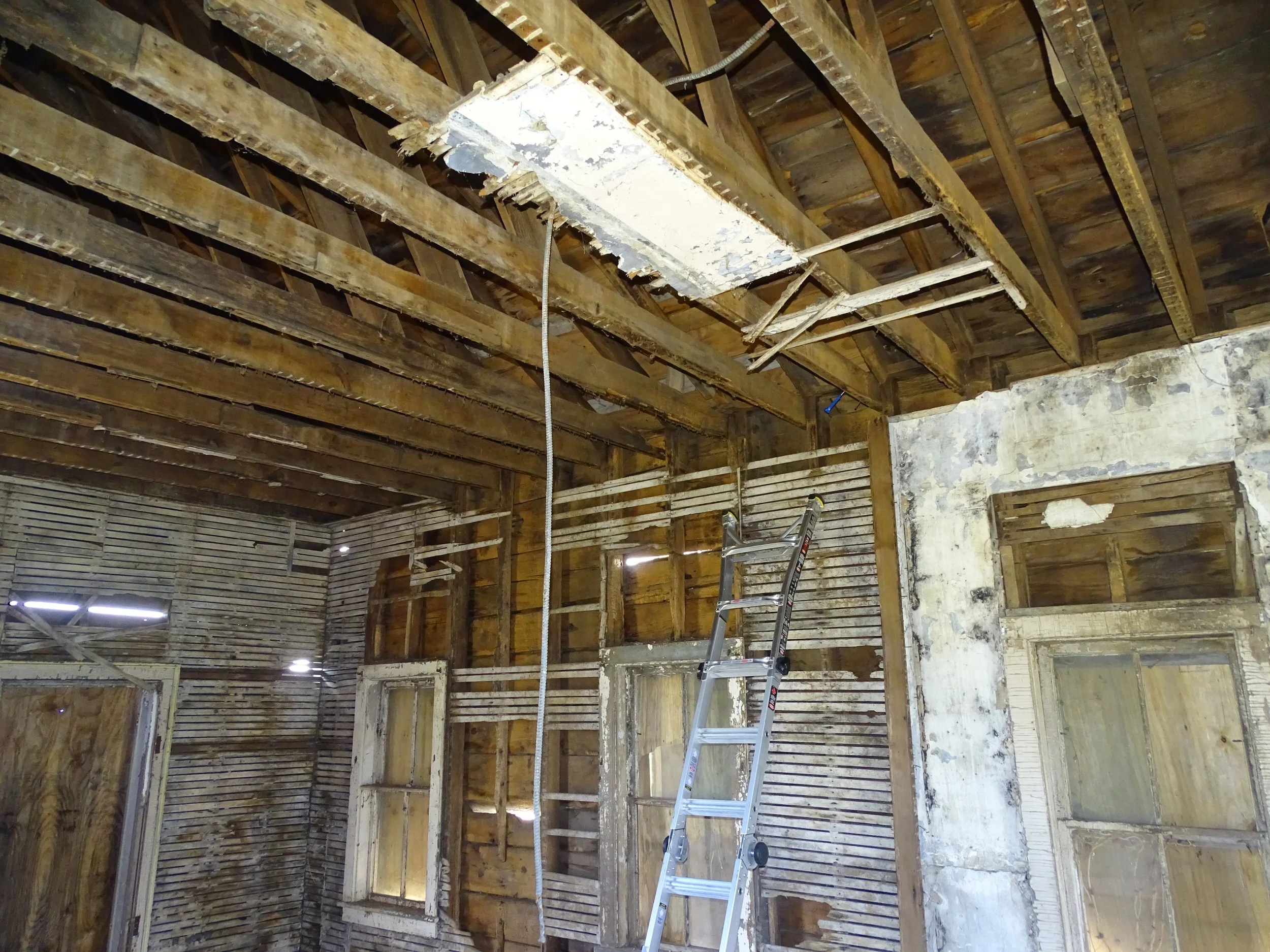 Whitney - Interior.JPG