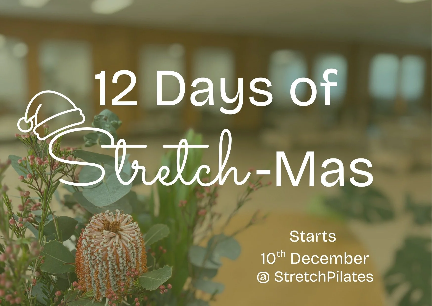 Exciting things are coming to Stretch next week&hellip;

✨ 12 Days of Stretch-Mas ✨

We&rsquo;re bringing a little festive sparkle into your classes with daily challenges, surprises and feel-good fun, designed to keep you moving right through the sea