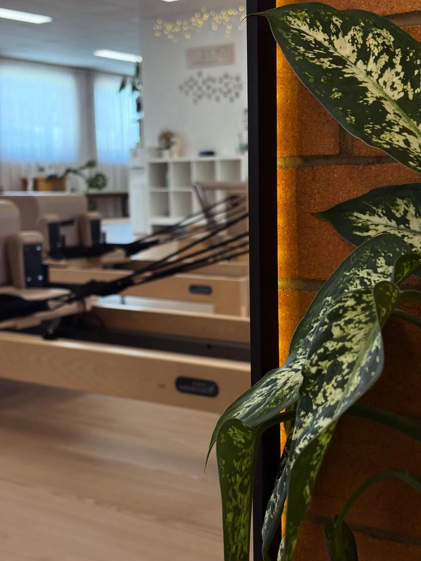 It&rsquo;s the little things&hellip; ✨
Thriving plant life, the warmth of exposed textures, soft reflections in the mirrors, and natural light pouring in.

That&rsquo;s what sets Stretch apart.
It&rsquo;s more than a studio - it&rsquo;s a space that 