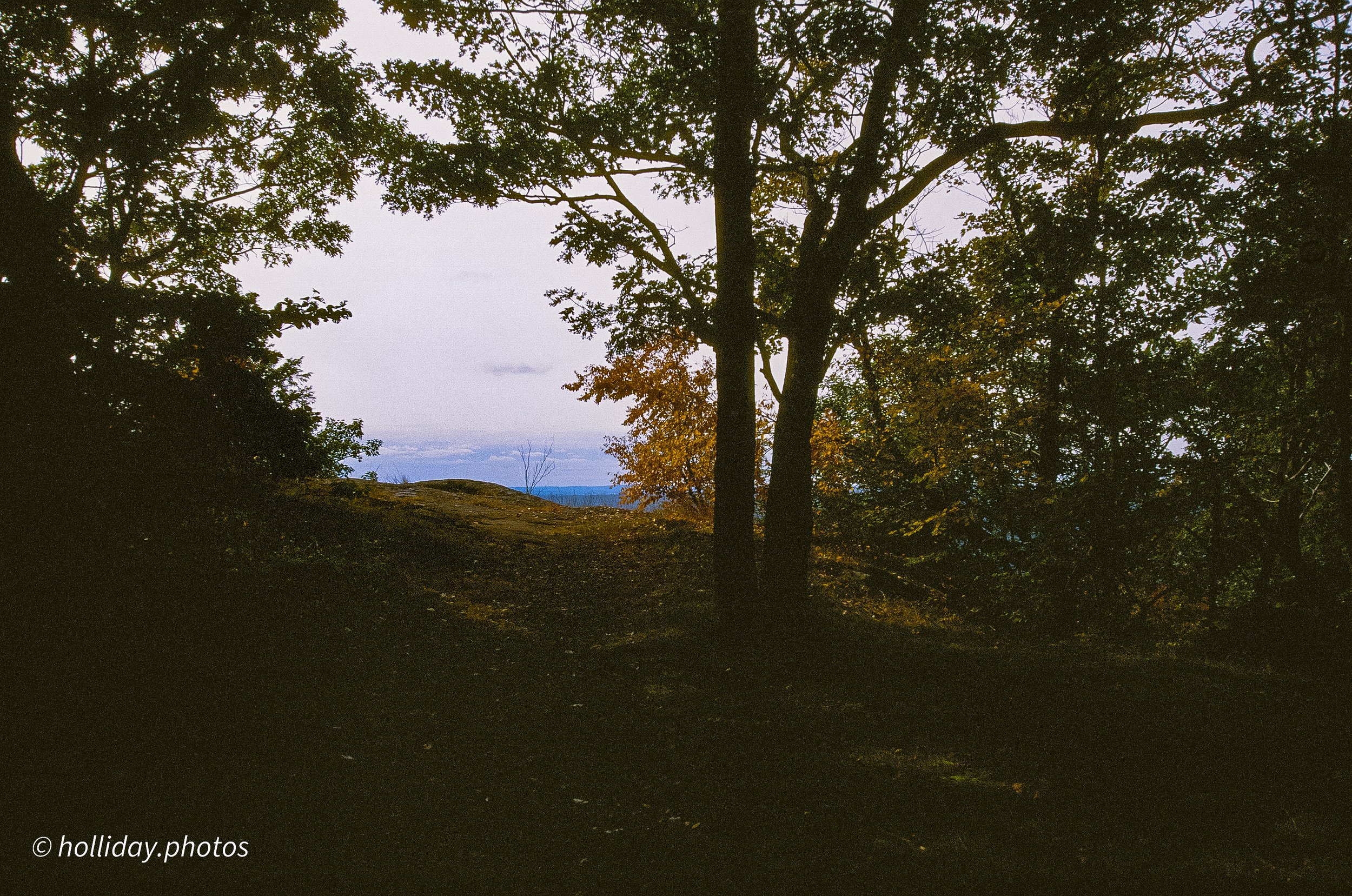 The Edge of Autumn