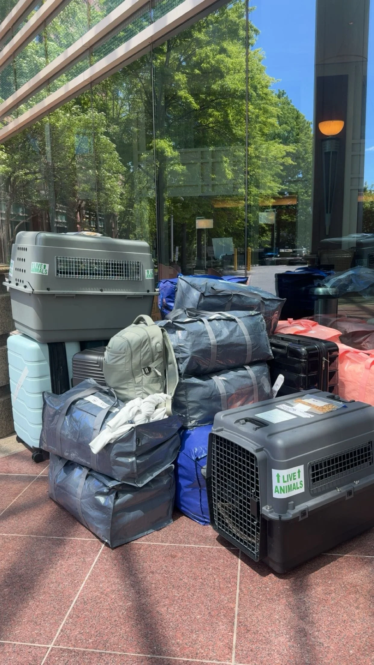 Twenty seven bags packed and ready in front of the Hilton for an international move from Arizona to Portugal